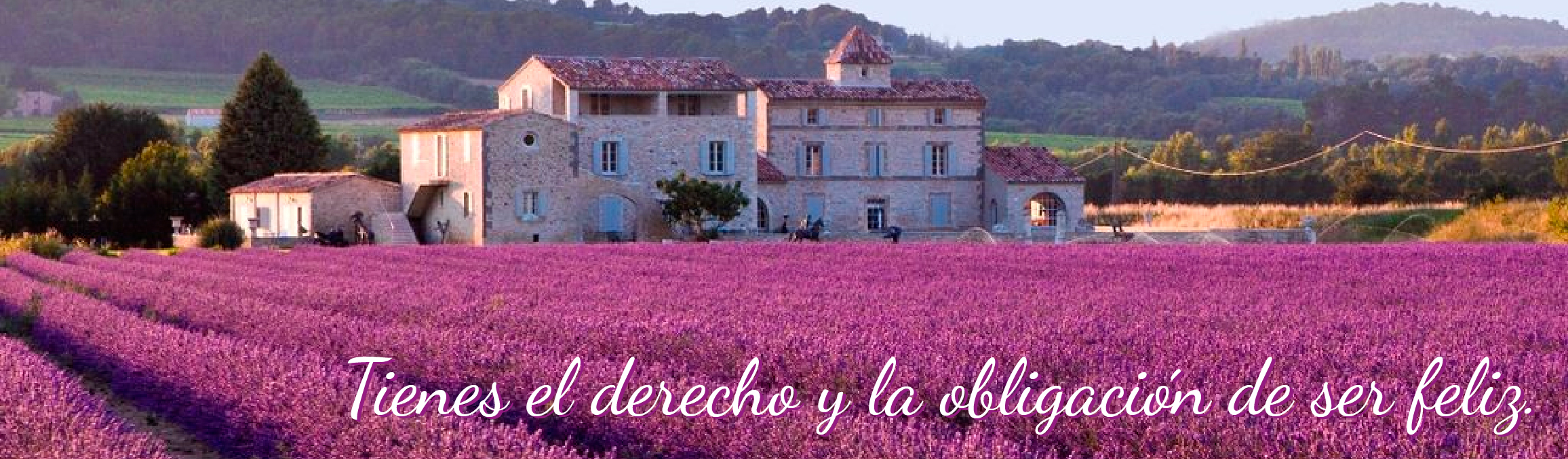 Campo de lavanda para Psicología con Paula, psicóloga en Jaén